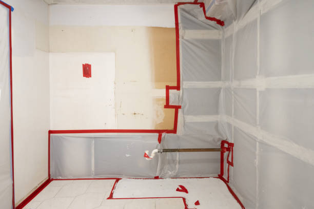 Best Crawl Space Mold Remediation  in Alpharetta, GA