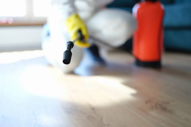 Best Forensic Mold Investigation  in Alpharetta, GA