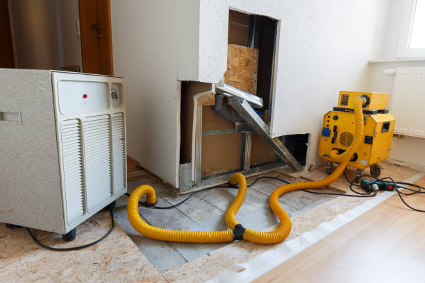 Best Mold Odor Removal Services  in Alpharetta, GA
