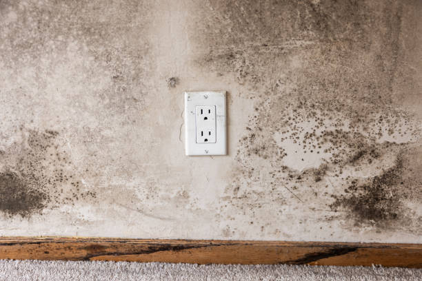 Best Post-Remediation Verification Testing  in Alpharetta, GA