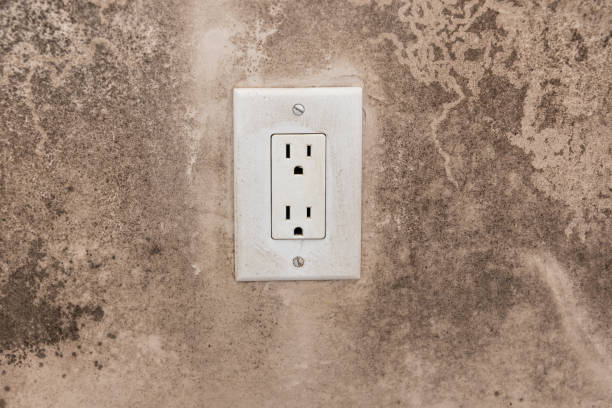 Mold Documentation for Insurance Claims in Alpharetta, GA