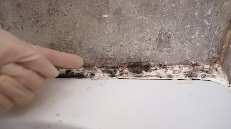 Best Asbestos and Lead Testing During Mold Inspection  in Alpharetta, GA