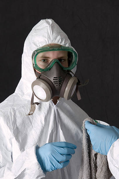 Best Basement Mold Removal  in Alpharetta, GA
